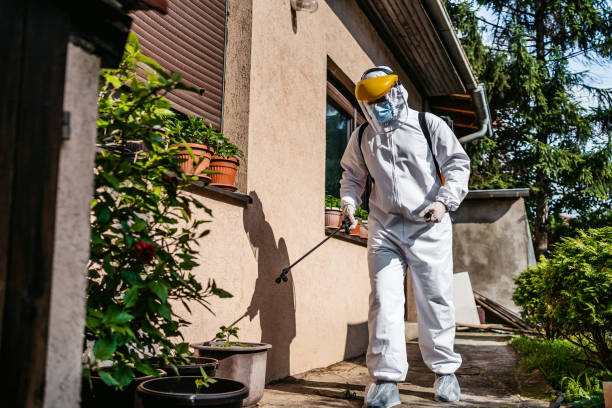 Best Affordable Pest Control Services  in Versailles, OH