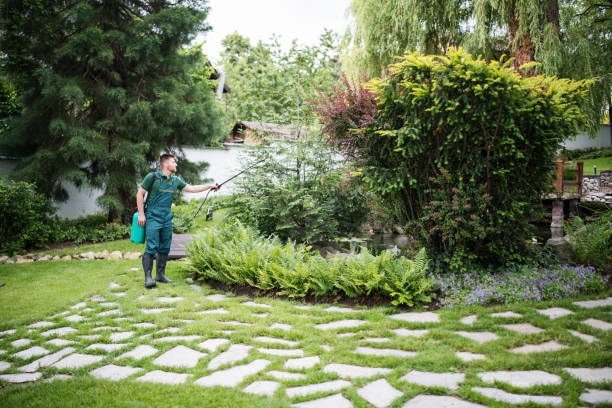 Best Wasp Removal Services  in Versailles, OH