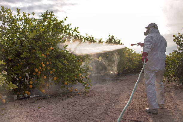 Best Mosquito Control Services  in Versailles, OH