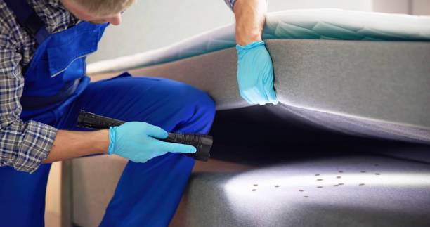 Best Best Pest Control Companies  in Versailles, OH