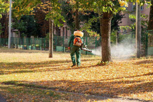 Best Residential Pest Control  in Versailles, OH