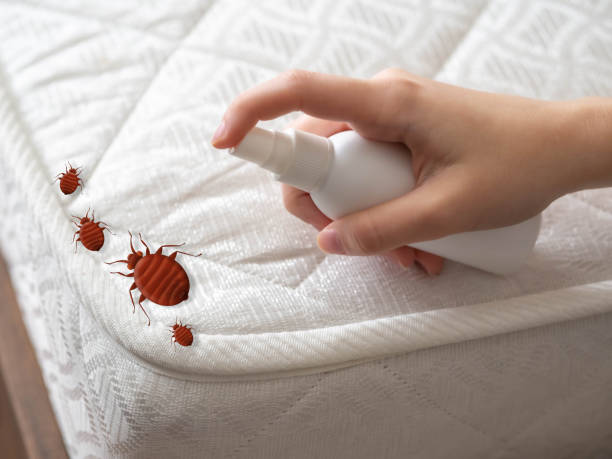 Best Commercial Pest Control Services  in Versailles, OH